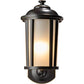 Maximus Smart Security Light - Traditional Bronze
