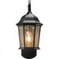 Maximus Smart Security Light - Coach
